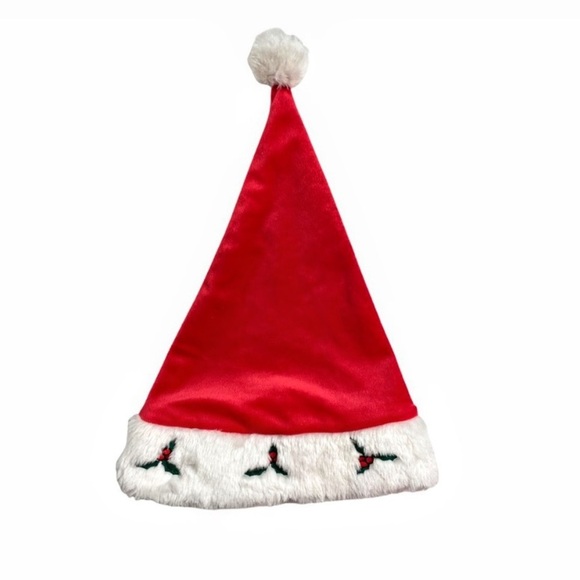 FOCO Wisconsin Badgers Logo Santa Hat - Picture 6 of 11